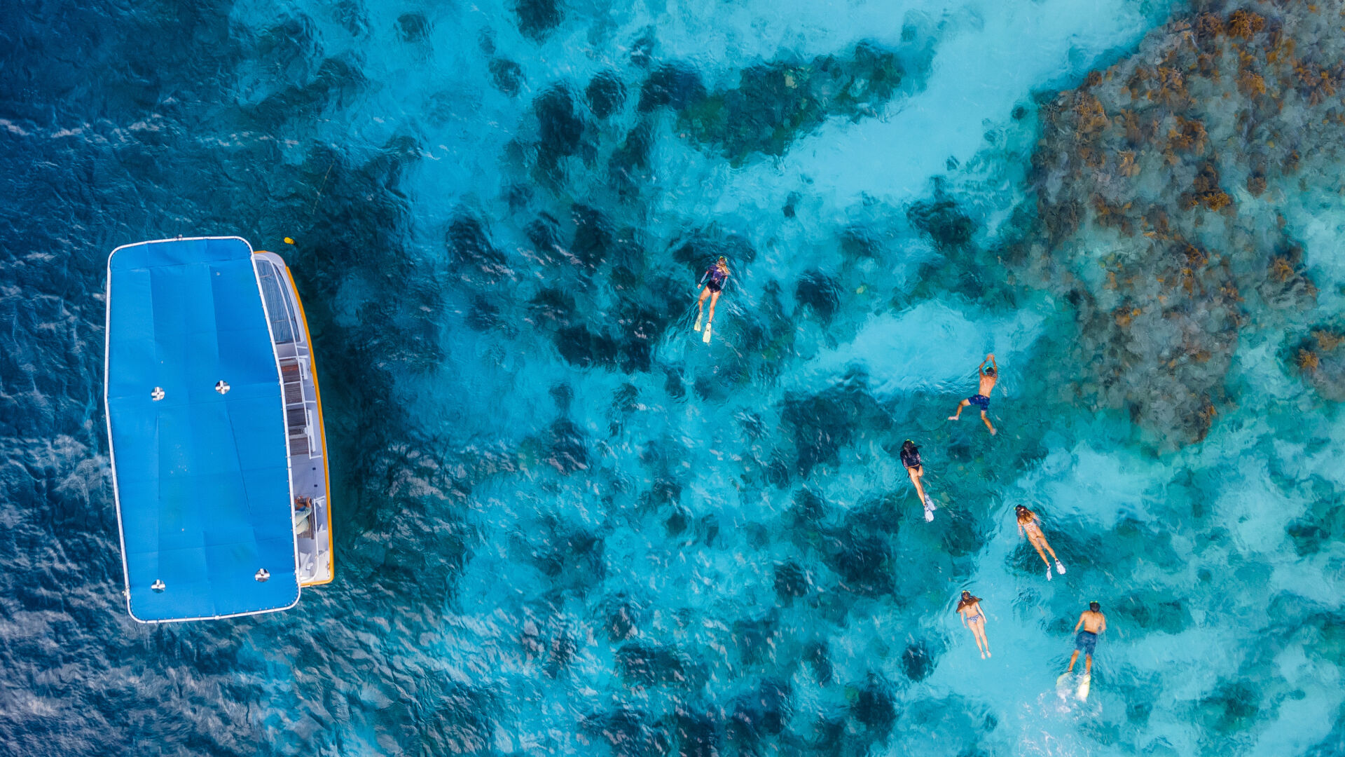 drift snorkel klein bonaire